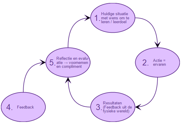 Model Cirkelleren - AMETHIST Developing People