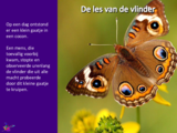 De les van de vlinder